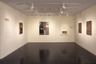 Brooklyn Museum: The Pictographs of Adolph Gottlieb