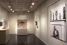 Brooklyn Museum: The Pictographs of Adolph Gottlieb