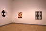 Brooklyn Museum: Leon Polk Smith: American Painter
