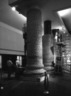 Brooklyn Museum: David Mach: A Hair's Breadth