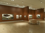 Brooklyn Museum: Tigers of Wrath: Watercolors by Walton Ford
