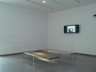 Brooklyn Museum: Ron Mueck