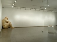Brooklyn Museum: Ron Mueck