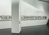 Brooklyn Museum: Patricia Cronin: 'Harriet Hosmer, Lost and Found'