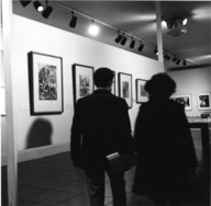 Brooklyn Museum: Thirty Years of Collecting by Una E. Johnson