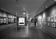 Brooklyn Museum: Pride and Prejudice: A Woman's Exhibition