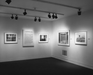 Brooklyn Museum: A Summer's Day: Photographs by Joel Meyerowitz