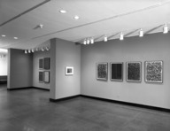Brooklyn Museum: Drawings by Glenn Ligon: Evidence of Things Not Seen