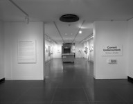 Brooklyn Museum: Working in Brooklyn: Current Undercurrent