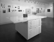 Brooklyn Museum: Working in Brooklyn: Current Undercurrent