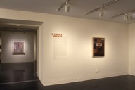 Brooklyn Museum: The Pictographs of Adolph Gottlieb