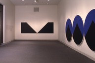 Brooklyn Museum: Leon Polk Smith: American Painter