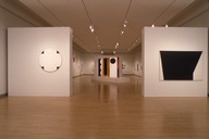 Brooklyn Museum: Leon Polk Smith: American Painter