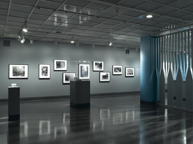 Brooklyn Museum: Looking Back from Ground Zero: Images from the Brooklyn Museum Collection