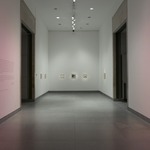 Hernan Bas: Works from the Rubell Family Collection