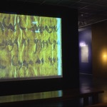 Jewish Life in Ancient Egypt