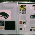 Techniques: Prints [NYSCA travelling exhibition]