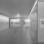 Drawings from the Museum Collection