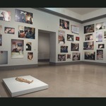 Sensation: Young British Artists from the Saatchi Collection