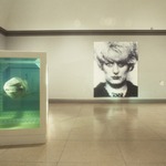 Sensation: Young British Artists from the Saatchi Collection