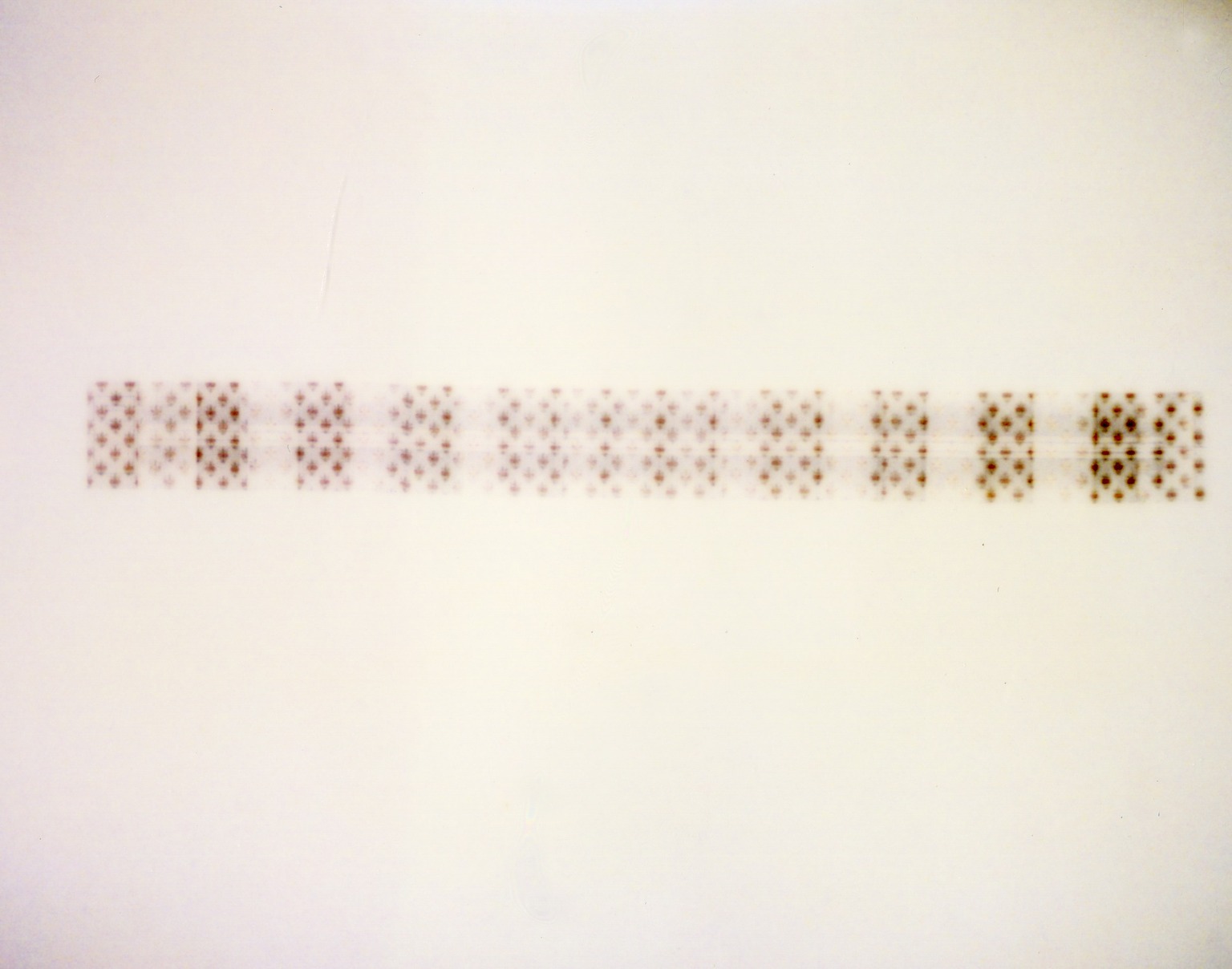 Brooklyn Museum: Working in Brooklyn: Artists Books