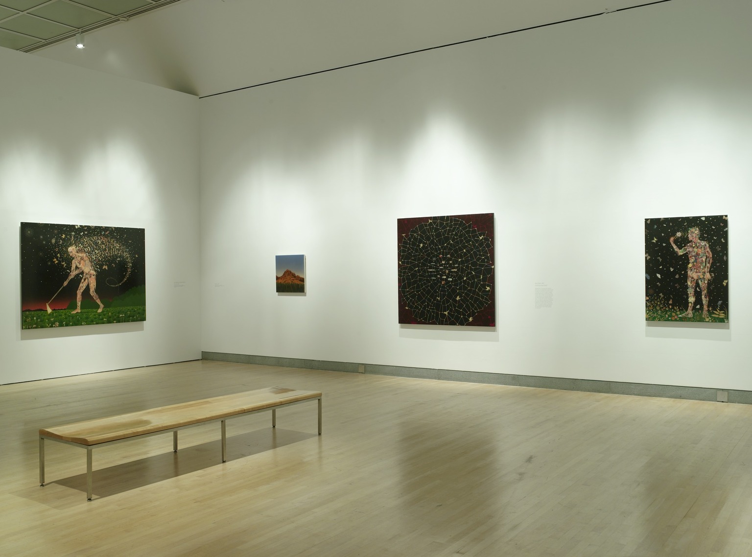 Brooklyn Museum: Fred Tomaselli