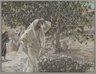 Brooklyn Museum: The Accursed Fig Tree (Le figuier maudit)