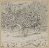 Brooklyn Museum: Fig-tree, Valley of Hinnom