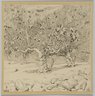 Brooklyn Museum: Fig-tree, Valley of Hinnom