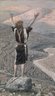 Brooklyn Museum: The Voice in the Desert (La voix dans le désert)