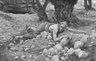 Brooklyn Museum: The Hidden Treasure (Le trésor enfoui)