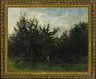 An Apple Orchard