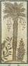 Mosaic of Date Palm Tree