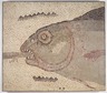 Mosaic of Fish