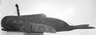 Whale-Shaped Mask Used in the Whale Dance