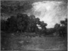 Autumn Oaks, Forest of Fontainebleau