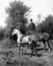 Brooklyn Museum: Horses and Mounted Groom