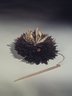 Headdress