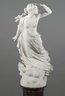 Brooklyn Museum: The Lost Pleiad