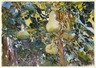 Brooklyn Museum: Gourds