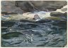 Salmon River
