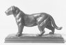Jaguar Standing