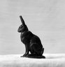 Brooklyn Museum: Seated Hare (Lièvre assis)