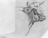 Brooklyn Museum: Head of a Bull
