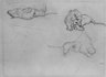 Brooklyn Museum: Studies of a Lion