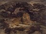 Lion Reclining (Lion au repos)