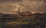 Stag Walking (Cerf marchant)