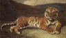 Tiger Reclining (Tigre couch&Atilde;&copy;)