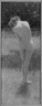 Brooklyn Museum: Daphne