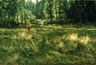 Brooklyn Museum: La Marcellerie